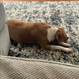 Meet your Posher, Jamie